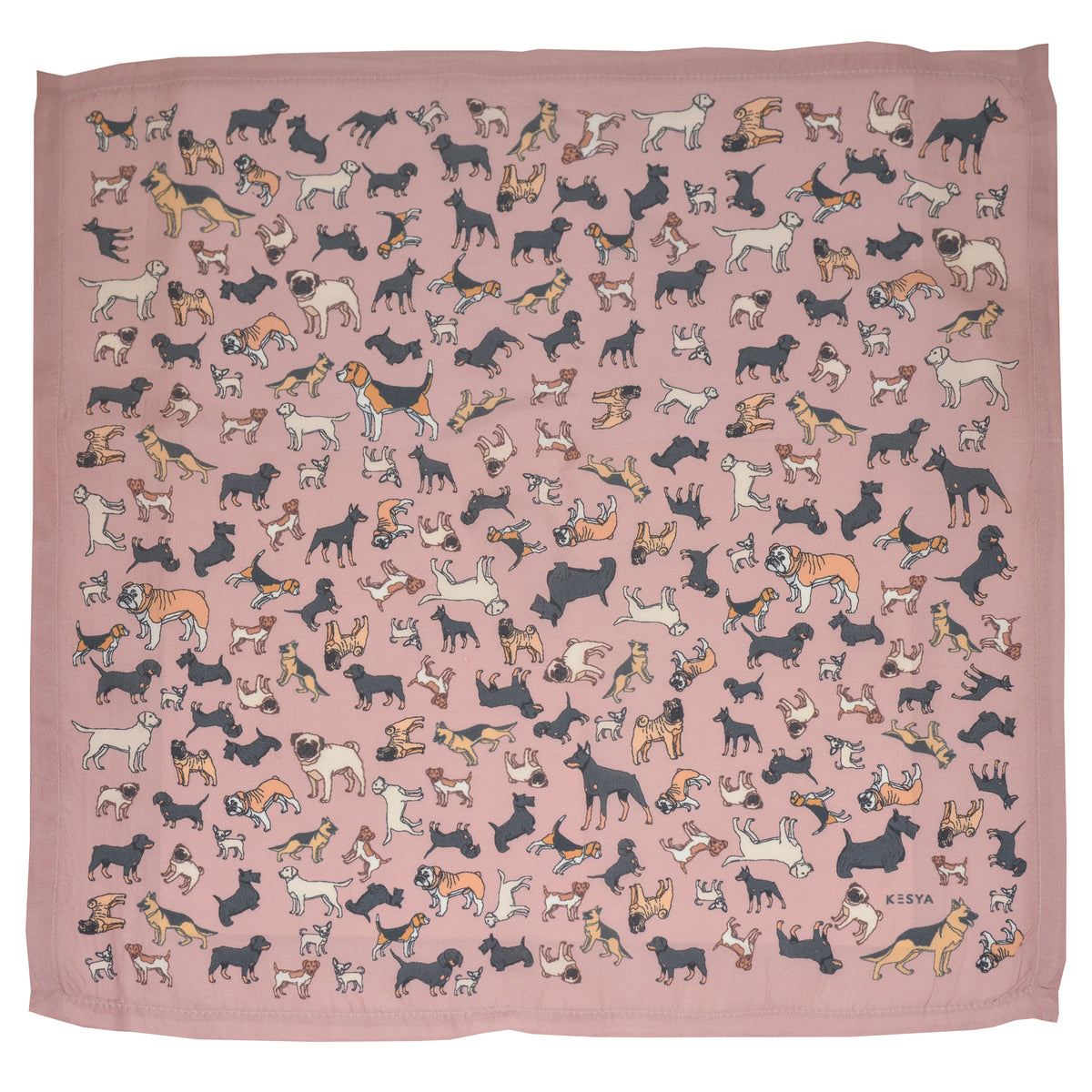 Pink Canine Pocket Square